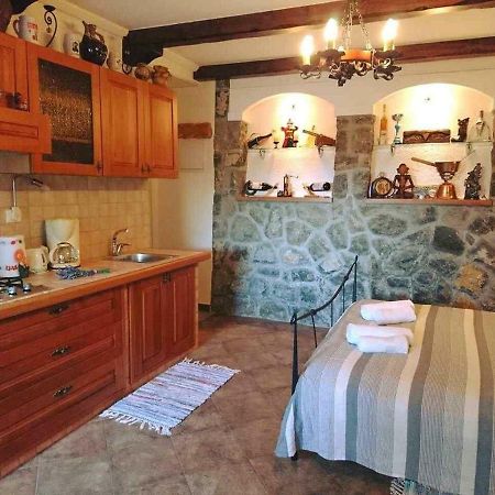 Apartman Ruza 3 Poljane Buitenkant foto