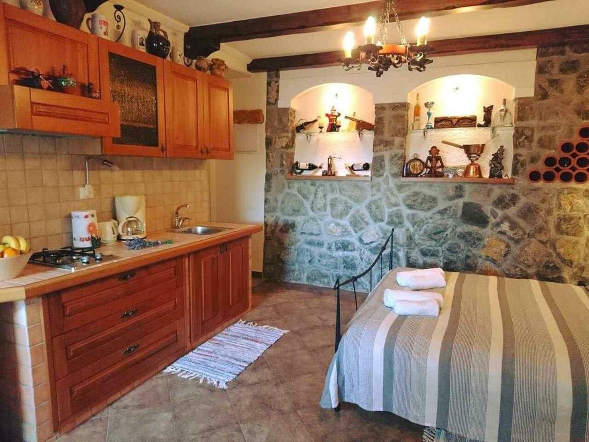 Apartman Ruza 3 Poljane Buitenkant foto