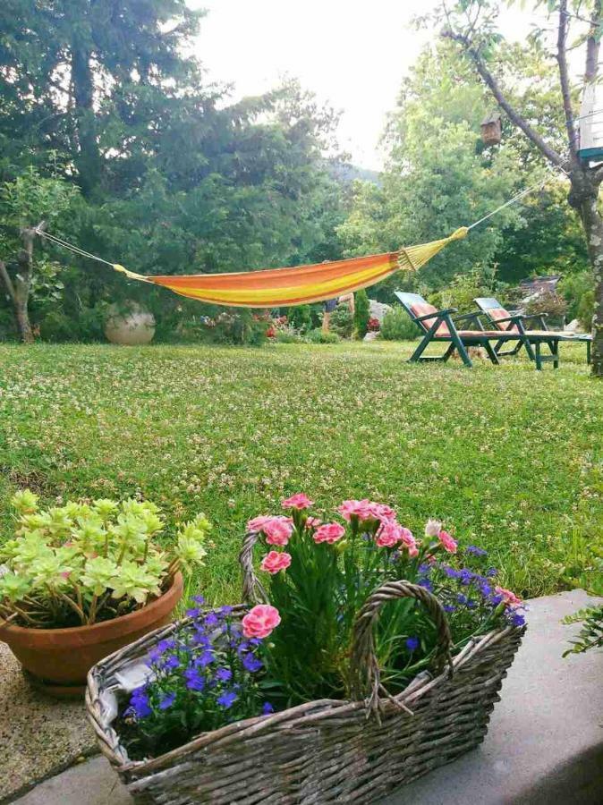 Apartman Ruza 3 Poljane Buitenkant foto